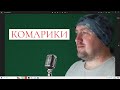 Комарики - Группа &quot;Жуки&quot; / Павел Фартовый (поем под минус)