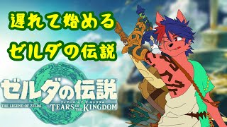 遅れて始めるゼルダの伝説「ゼルダの伝説　ティアーズ　オブ　ザ　キングダム」3