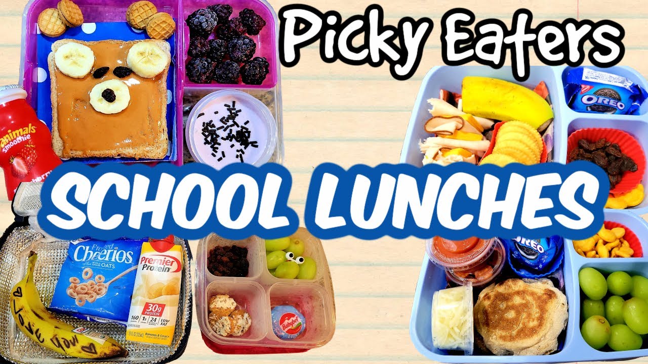 BACK TO SCHOOL LUNCHES PICKY EATERS | NICOLE BURGESS LUNCH BOX - YouTube