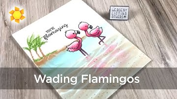 Wading Flamingos on the beach