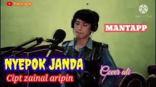 lagu lampung || NYEPOK JANDA || cipt zainal aripin || cover ali ||