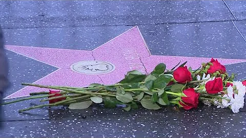 The killings of Rob and Michele Reiner shatters family's gentle legacy