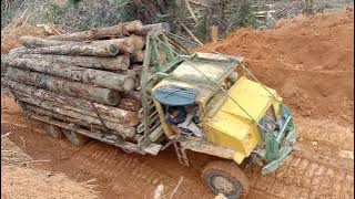 lori balak [ logging truck santaiwong Malaysia ] naik bukit tajam