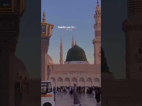 حبيبي يا محمد رحمة للعالمين ماهر زين 