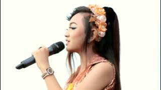 Tembang tresno jihan audy new pallapa