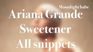 Ariana Grande All Snippets (Sweetener)