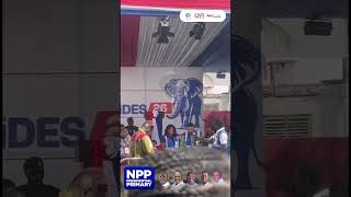 NPP Primaries: Sorting Complete, Counting Underway at NPP Headquarters