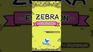 Zebra evolution #1