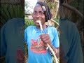 Download Rasi Muchafu Kichaa Comedy Whowillbemylifepa Download Rasi Muchafu Kichaa Comedy Whowillbemylifepa
