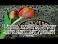 Surah Fatir Sheikh Abdul Rahman As Sudais Surah Fatir Sheikh Abdul Rahman As Sudais