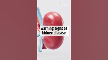 Kidney Disease: 10 Signs and Symptoms You Should Know