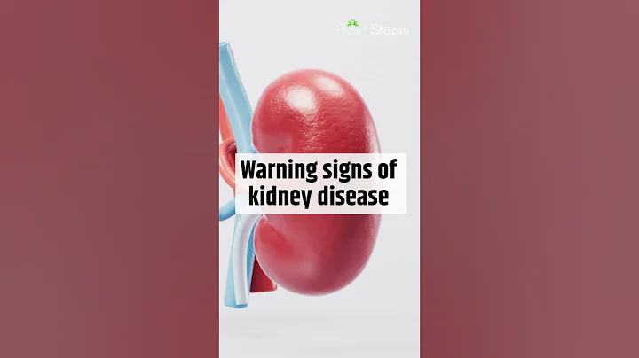 Kidney Disease: 10 Signs and Symptoms You Should Know