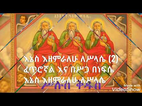 ቪዲዮ: የቡሽ ግድግዳ መሸፈኛ፡ የመጫኛ አይነቶች እና ባህሪያት