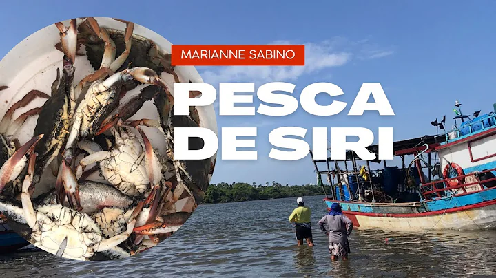 Pesca de Siri com Jerer em Rio Jaguaribe, Volta/Ar...