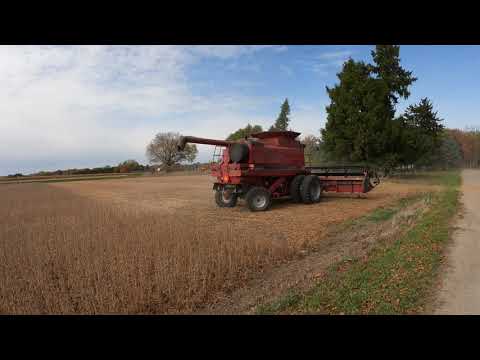   82      2388     2020 5