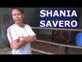 BLUSUKAN KE MARKAS M STABLE SHANIA SAVERO