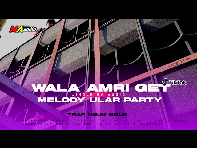 DJ BASS NGUK NGUK PARTY || DJ WALA AMRI GET VIRAL TIKTOK PARTY JEDAG JEDUG #maaudiolawang #djbas class=