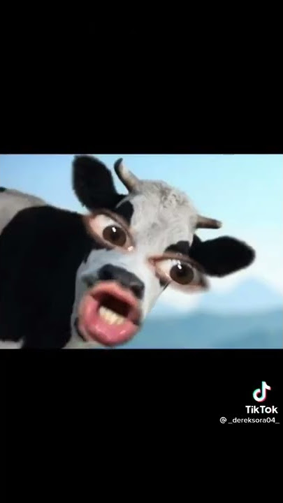 FUNNY MOMENTS CHUPAPI MUNYAYO