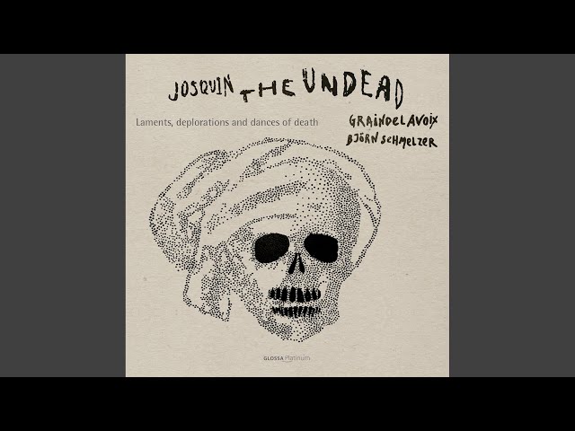 Graindelavoix/Björn Schmelzer - Cueur langoreulx, NJE 29.2