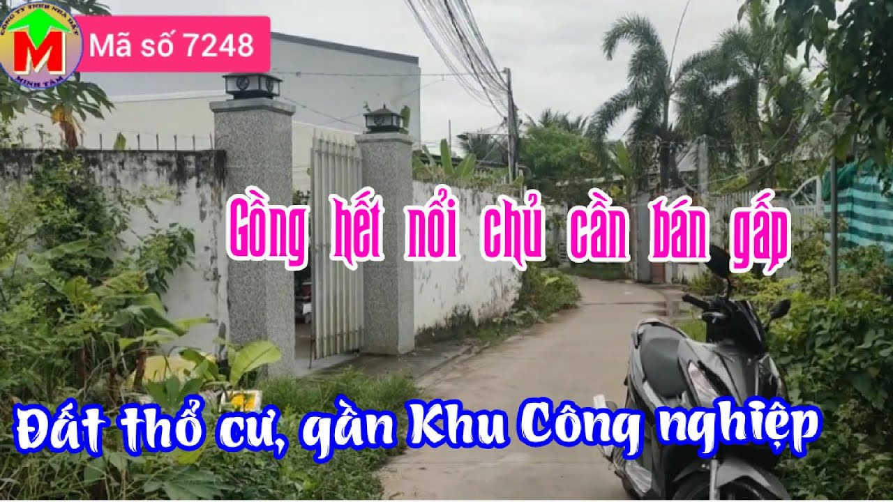 Bán gấp đất gần đường nhựa, khu công nghiệp TP Mỹ Tho... - youtube