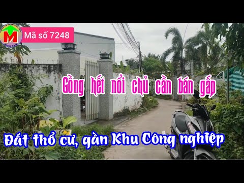 Video Bán gấp đất gần đường nhựa, khu công nghiệp TP Mỹ Tho... - youtube