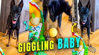 Baby Giggles While Dog Plays with a Ball