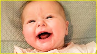 Funny Babies Laughing Hysterically Compilation #6  Cute Baby Videos