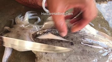 Cách tự làm sạch mực nang, mực mai tại nhà