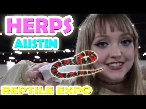 reptile-expo-time!---herps-austin,-tx---december-2017