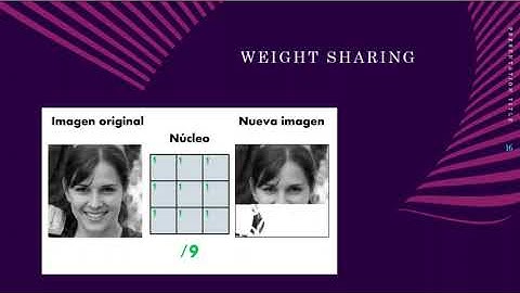 Data Mining con Redes Neuronales