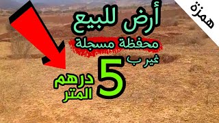 أرض محفضة مسجلة 5 درهم متر || بيع وشراء ارضي رخيصة ثمن || أرض للبيع في مكان مطلوب بثمن الهمزة