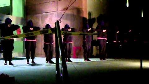 Florida Gulf Coast Univeristy Founding Line of Sigma Lambda Gamma National Sorority, Inc. Part 2