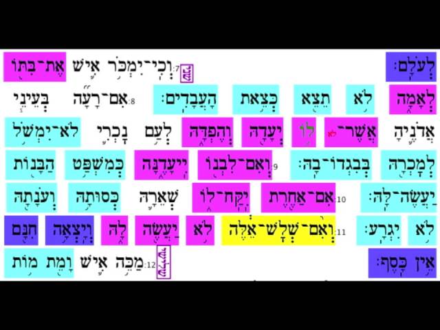Mishpatim aliya 2