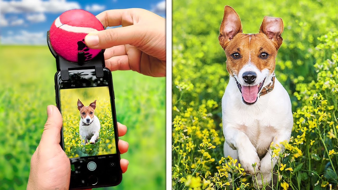 Cute And Useful Phone Gadgets, Hacks And DIY Ideas That Will Make Your Life Easier