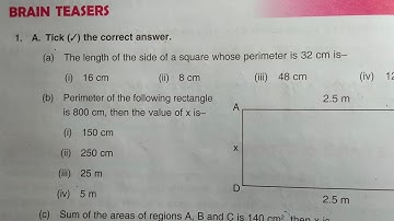 Math class 6 chapter 15 brain teasers dav public school // DAV Class 6 math chapter 15 brain teasers
