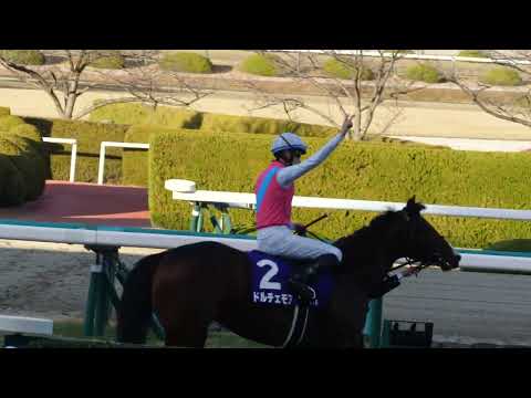 【朝日杯FS】おめでとう！坂井瑠星騎手！ドルチェモアとウイニングラン