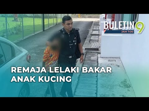 Remaja Mengaku Salah Bakar Anak Kucing