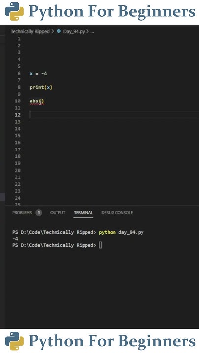 Getting Absolute Value Of A Number | Python For Beginners - YouTube