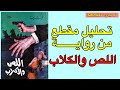 تحليل مقطع من رواية اللص والكلاب.