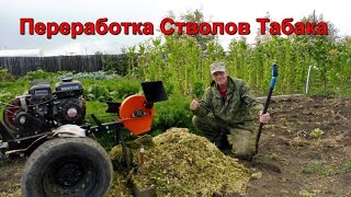 Уборка И Переработка  Стволов Табака.