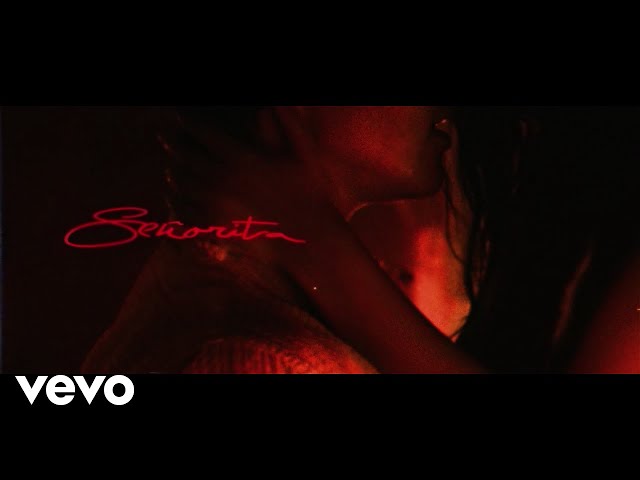 Shawn Mendes, Camila Cabello - Señorita (Lyric Video) class=