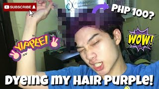 Diy Purple Haircolor Transformation For Less Than Php 100 Raffybells