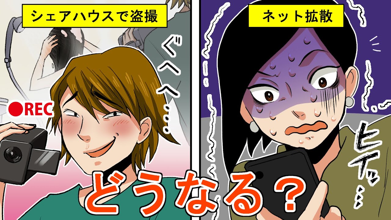 シェアハウス盗撮 同居人が誤って撮った動画がネット流出 慰謝料請求 どうなる 漫画 法律系マンガ動画 Youtube