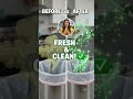 Say Goodbye to Smelly Trash Cans &amp; Bugs This Summer! 🪰🛑 #HomeHacks