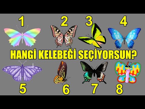 Video: Kelebek Neyi Simgeliyor