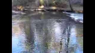 206 Riverway Video Tour