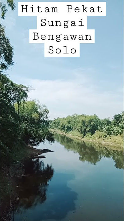 Hitam Pahit Sungai Bengawan Solo Tak Semanis 30Th Lalu #Shorts #BengawanSolo