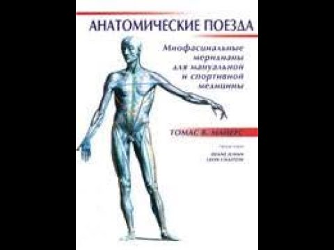 Видео: Анатомия подошвенного апоневроза, функции и схема - Карты тела