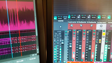 Weird Reaper track inspector mono issue