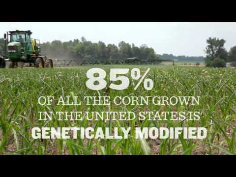 GMO OMG ~ Documentary Trailer